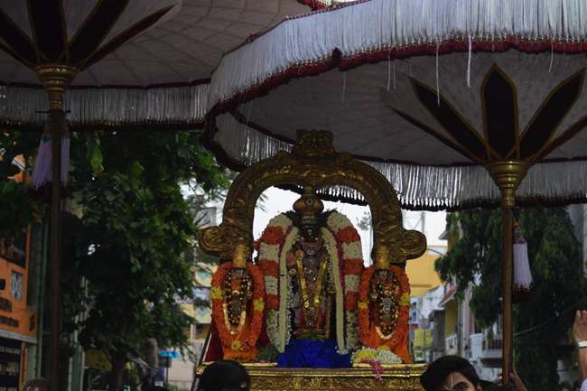 Thiruvallikeni-Sri-Parthasarathy-Swamy_33