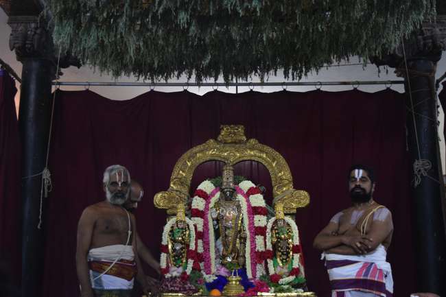 Thiruvallikeni-Sri-Parthasarathy-Swamy_35