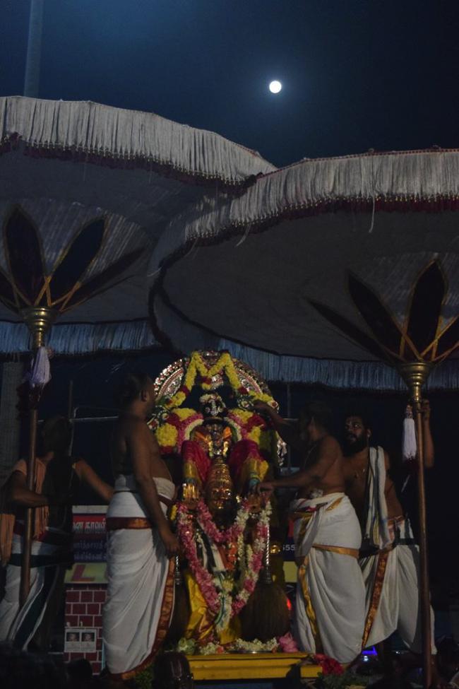 Thiruvallikeni-Sri-Ranganathar_00