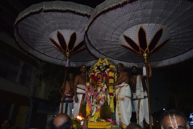 Thiruvallikeni-Sri-Ranganathar_11