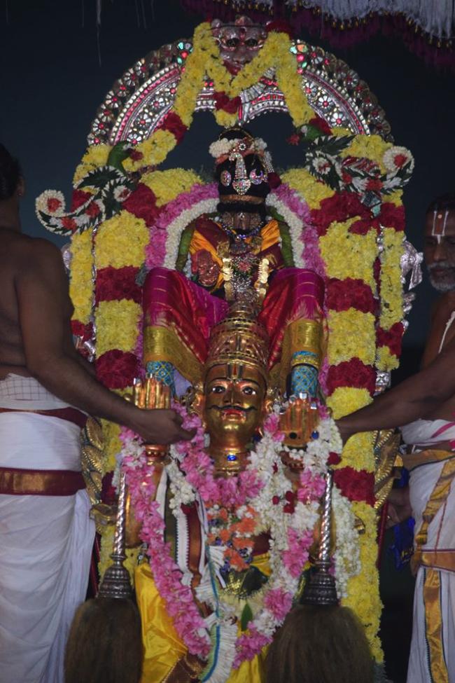 Thiruvallikeni-Sri-Ranganathar_19