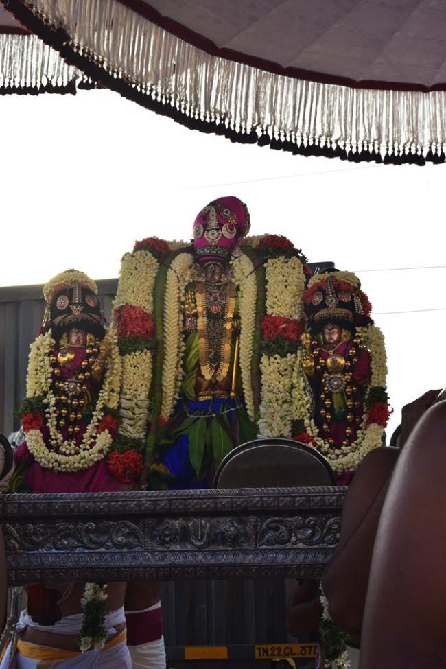 Thiruvallikeni-Sri-Ranganathar_25