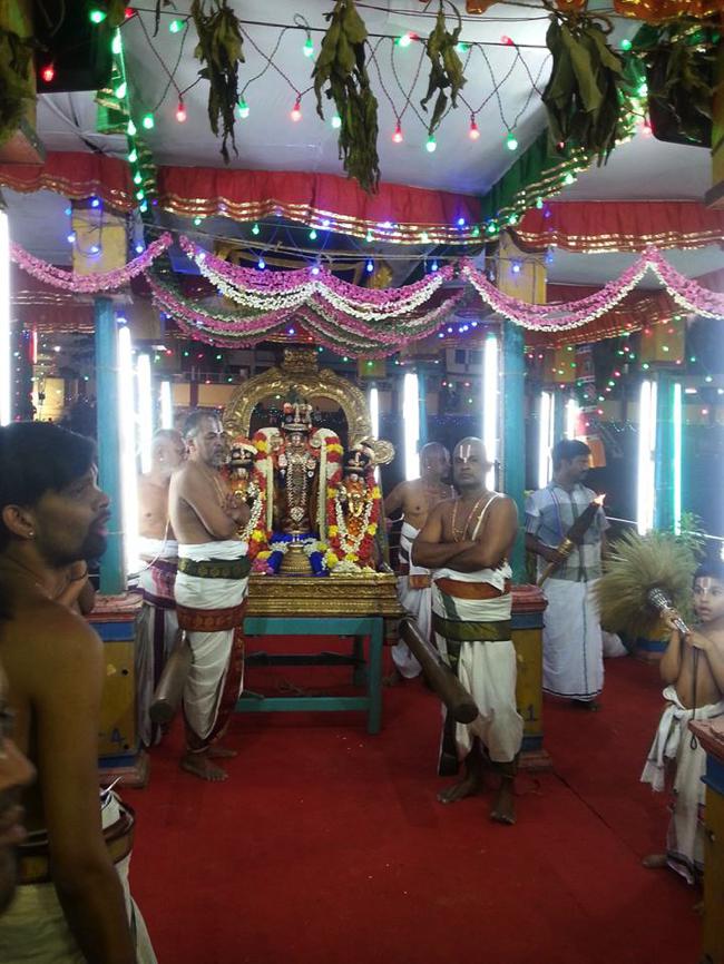 Thiruvallikeni-Sri-ThelliyaSingar_00
