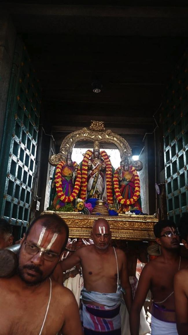 Thiruvallikeni-Sri-ThelliyaSingar_03