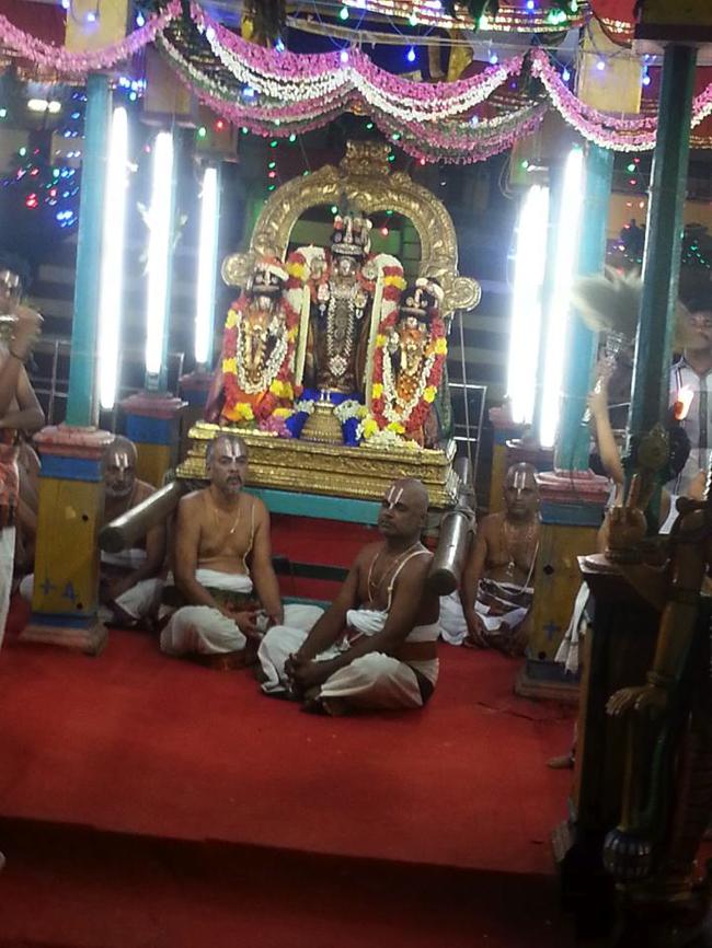 Thiruvallikeni-Sri-ThelliyaSingar_05