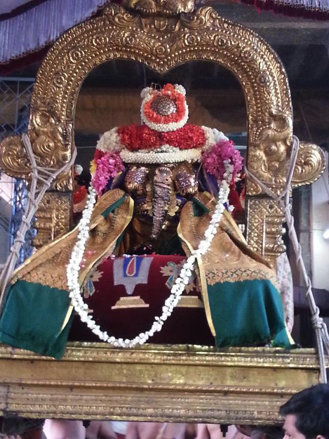 Thiruvallikeni-Sri-ThelliyaSingar_22
