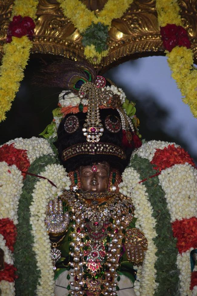 Thiruvallikeni-Sri-Varadar_02