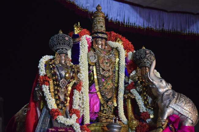 Thiruvallikeni-Sri-Varadar_03