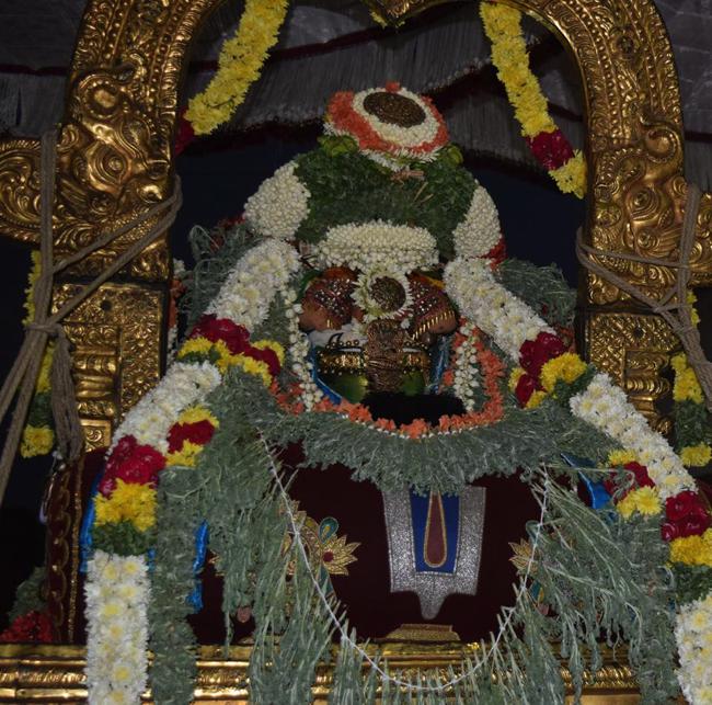 Thiruvallikeni-Sri-Varadar_03