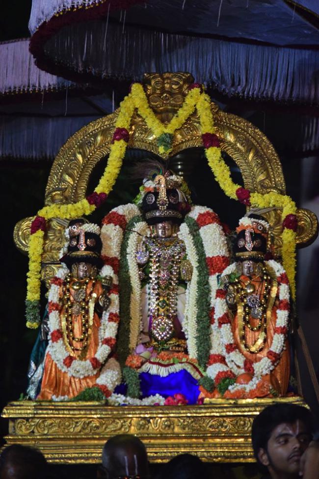 Thiruvallikeni-Sri-Varadar_13