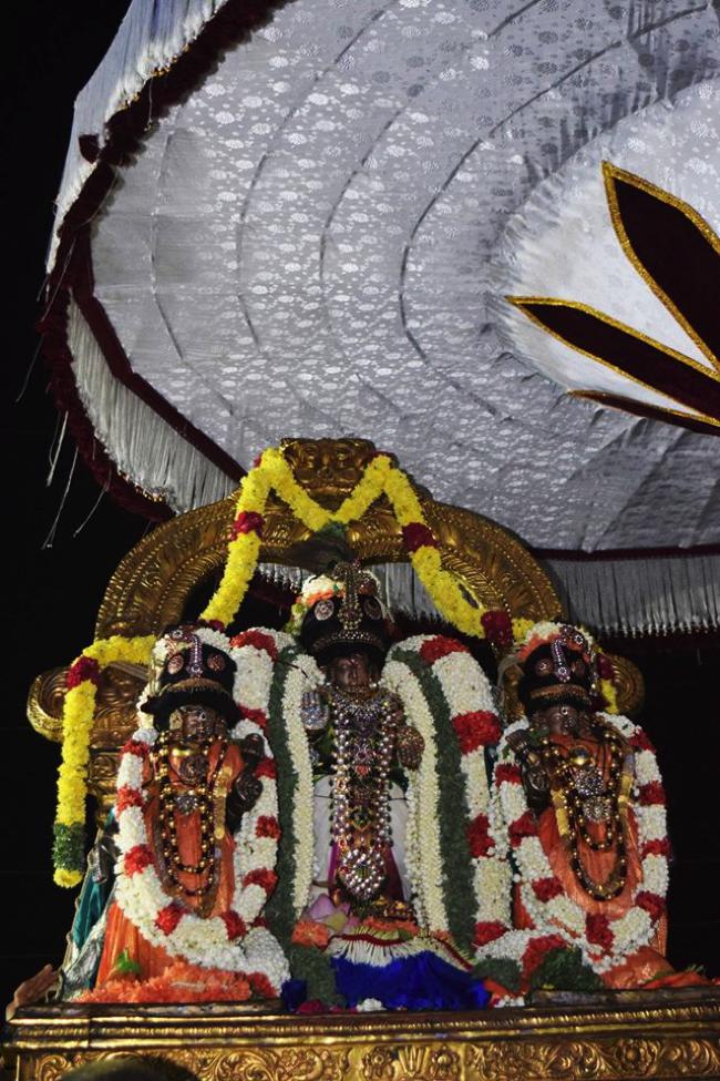 Thiruvallikeni-Sri-Varadar_14