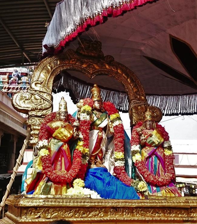 Thiruvallikeni-Sri-Varadar_15