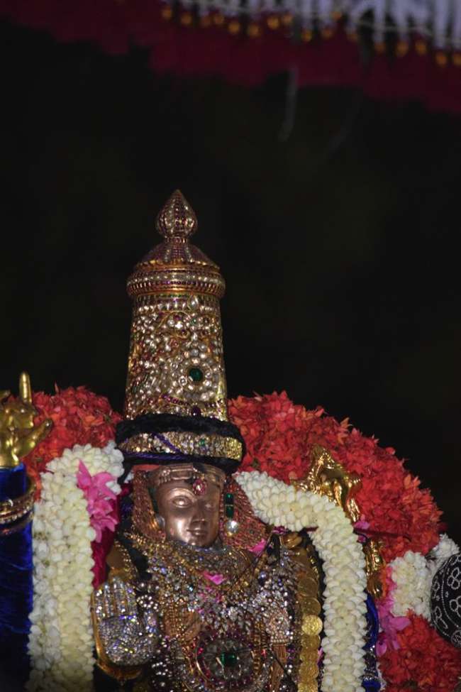 Thiruvallikeni-Sri-Varadar_19
