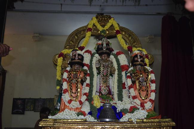 Thiruvallikeni-Sri-Varadar_22