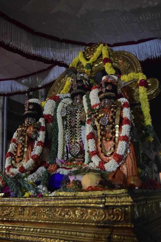 Thiruvallikeni-Sri-Varadar_24