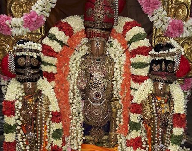 Thiruvallur-Sri-Veeraraghava-Perumal