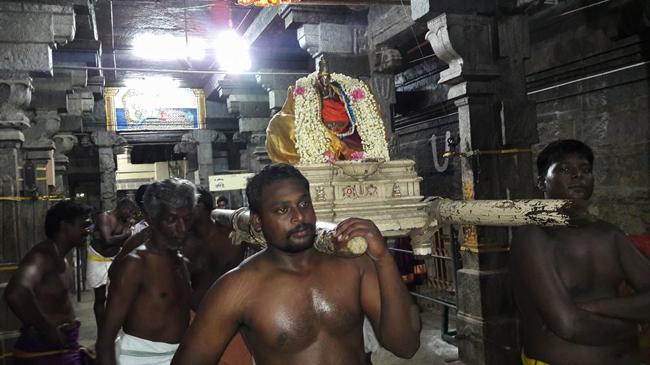 Thiruvallur-Sri-Veeraraghava-Perumal_11