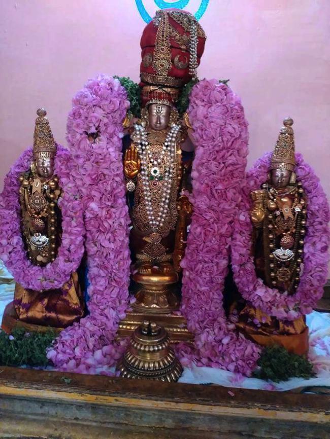 Thiruvallur-Sri-Veeraraghava-Perumal_12