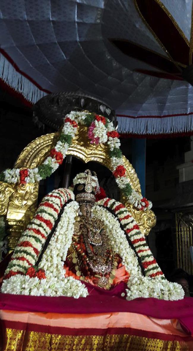 Thiruvallur-Sri-Veeraraghava-Perumal_18