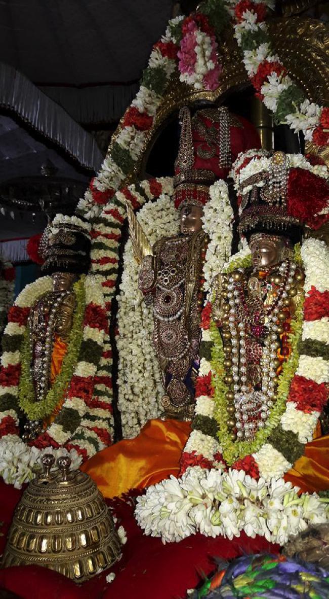 Thiruvallur-Sri-Veeraraghava-Perumal_19