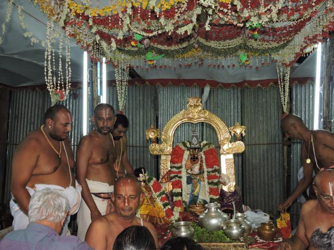Thiruvellarai-Sri-Pundarikaksha-Perumal_01