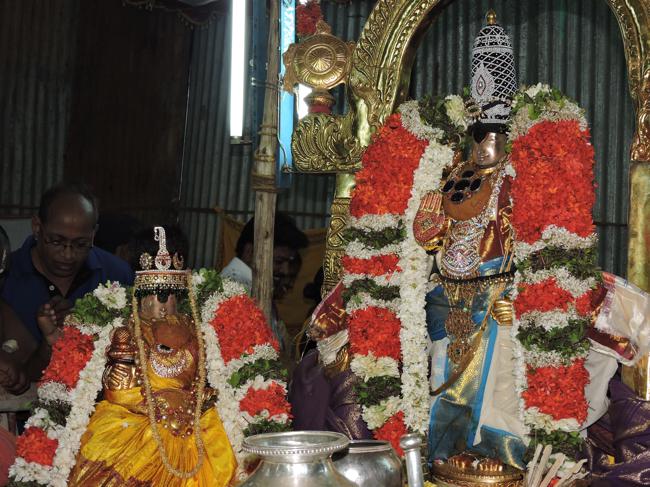 Thiruvellarai-Sri-Pundarikaksha-Perumal_05