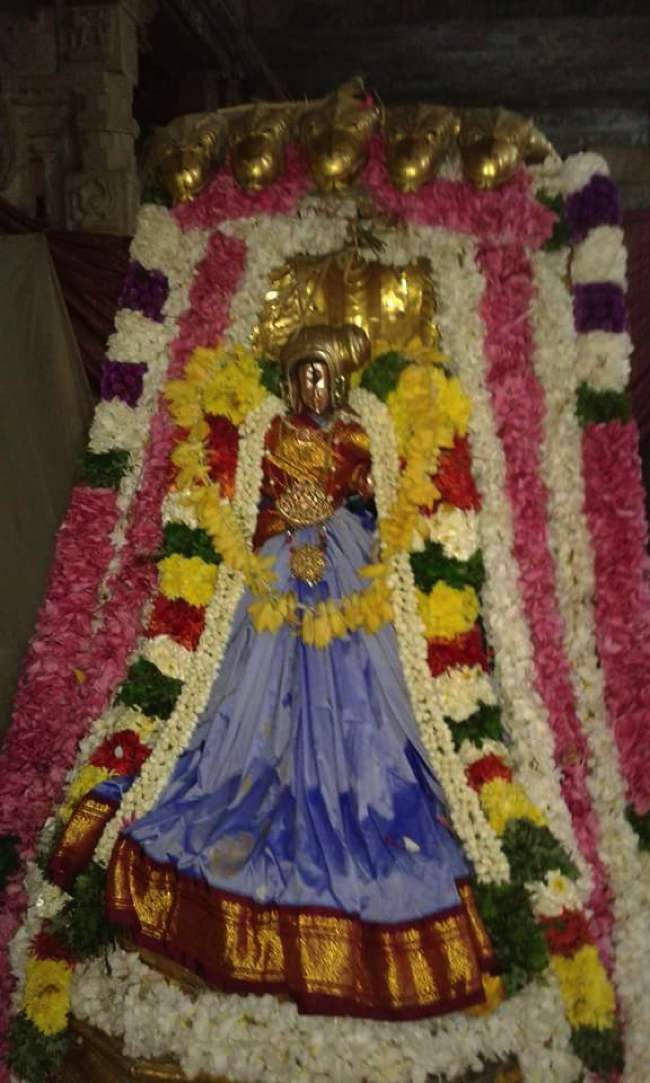 Vanamamalai-Sri-Deivanayaga-Perumal_04