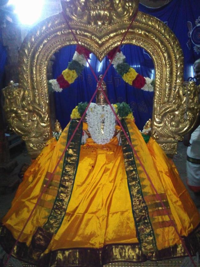 Vanamamalai-Sri-Deivanayaga-Perumal_14
