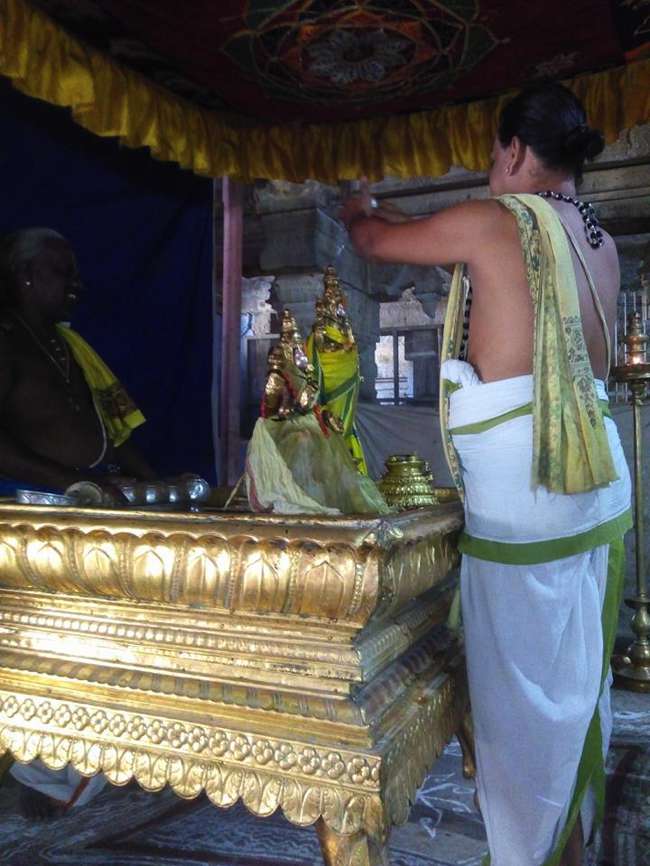 Vanamamalai-Sri-Deivanayaga-Perumal_14