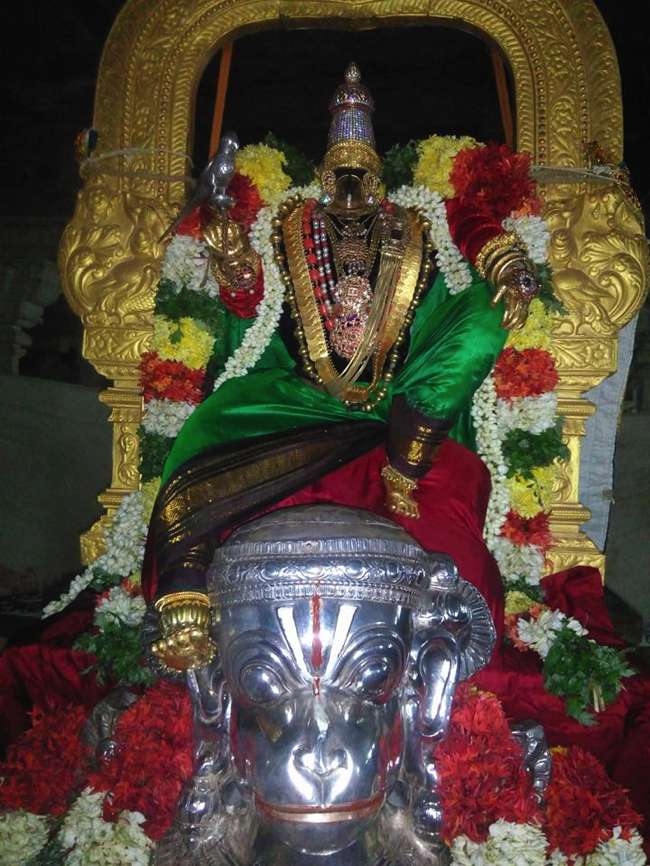 Vanamamalai-Sri-Deivanayaga-Perumal_15