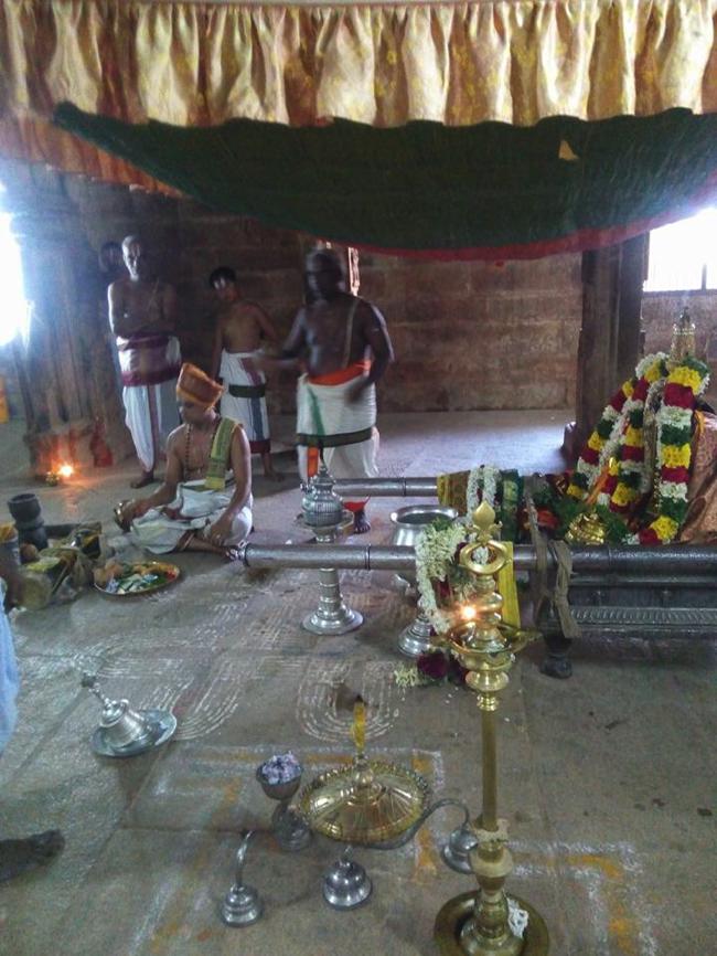 Vanamamalai-Sri-Deivanayaga-Perumal_21
