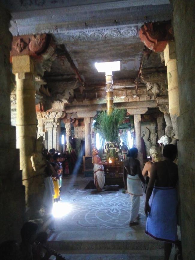 Vanamamalai-Sri-Deivanayaga-Perumal_22