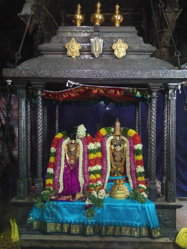 Vanamamalai-Sri-Deivanayaga-Perumal_23