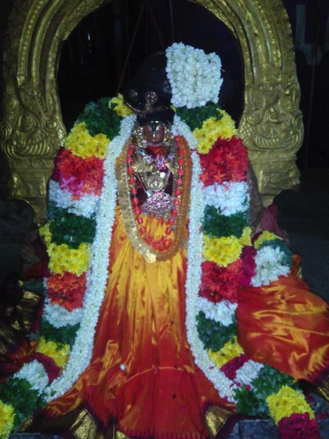 Vanamamalai-Sri-Deivanayaga-Perumal_25