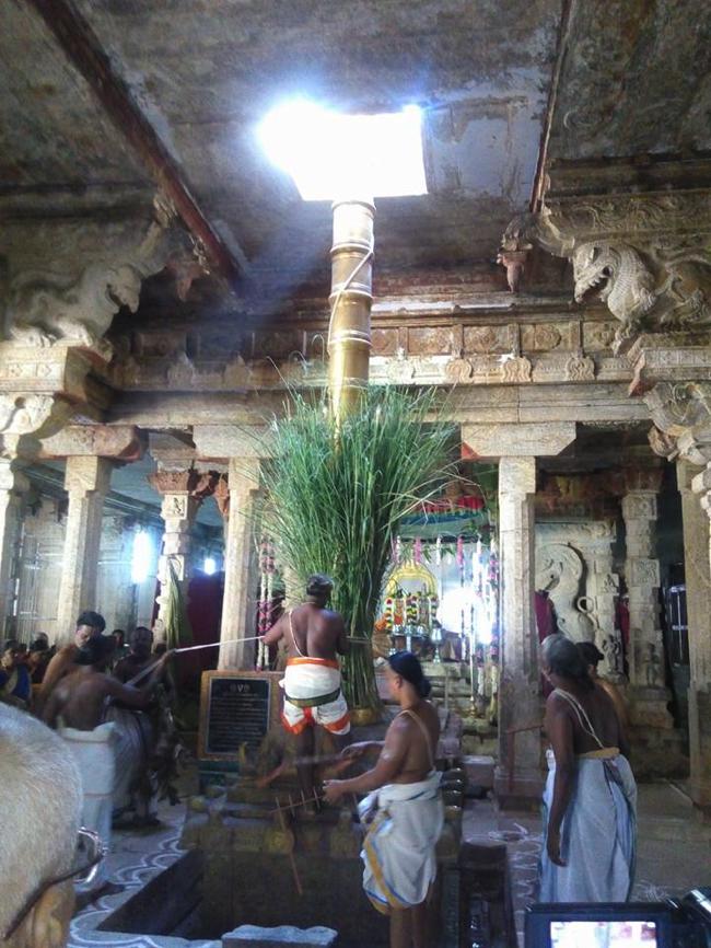 Vanamamalai-Sri-Deivanayaga-Perumal_32