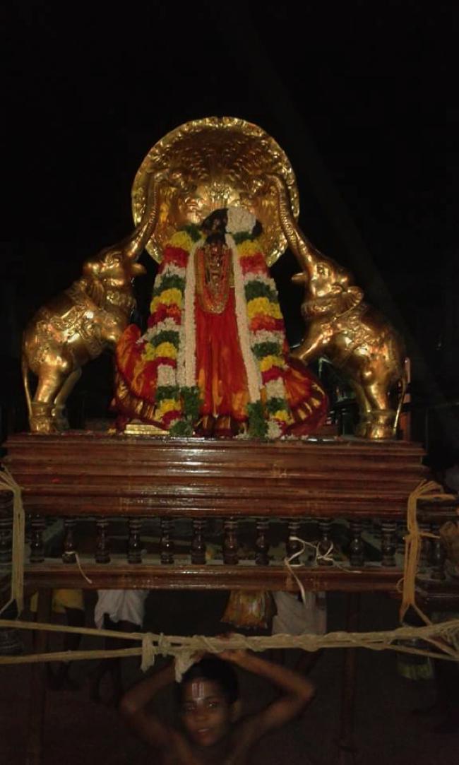 Vanamamalai-Sri-Deivanayaga-Perumal_34