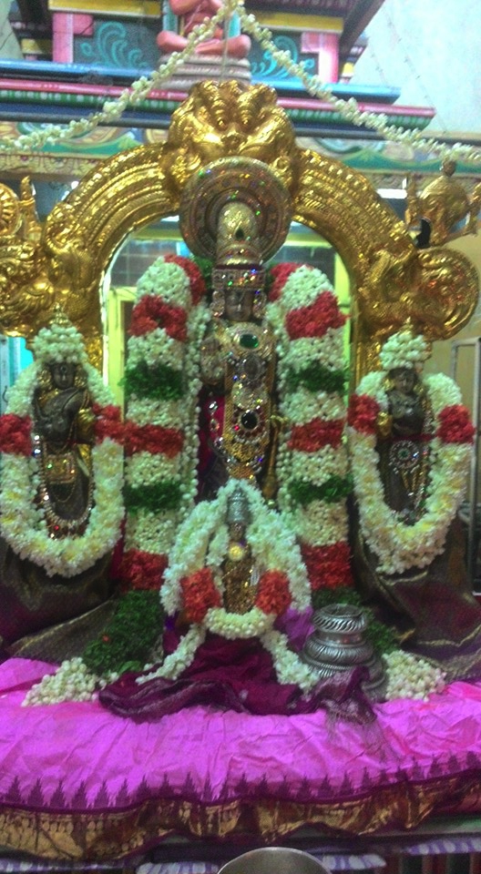 Arumbakkam-Sri-Satya-Varadaraja-Perumal-02