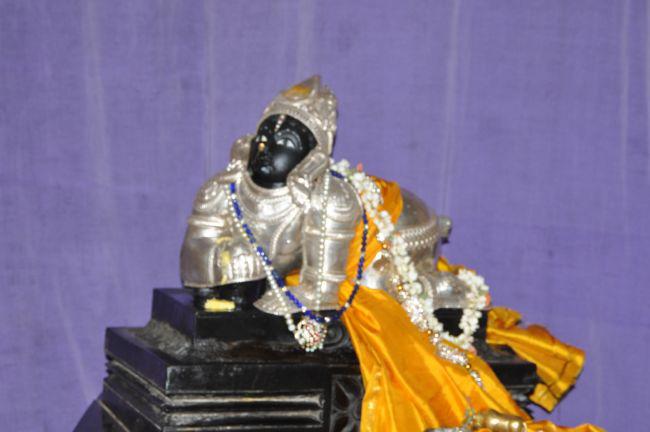 Bangalore-Srimad-Andavan-Poundarikapuram-Swami_15