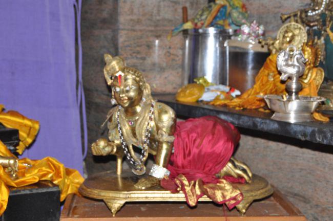 Bangalore-Srimad-Andavan-Poundarikapuram-Swami_16