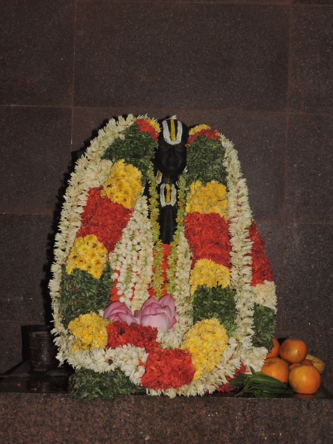 Brindavanam-Srimad-Paravakottai-Andavan11