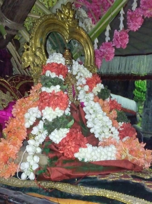 Kanchi-Sri-Devarajaswami10
