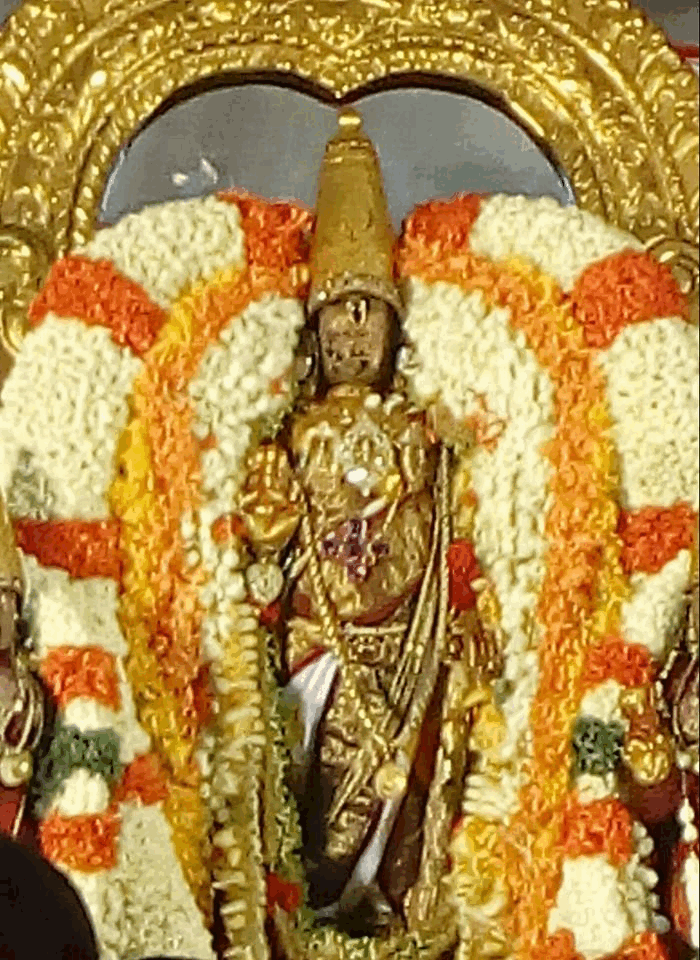 Kanchi-Sri-Devarajaswami11
