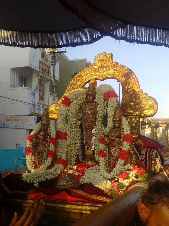 Kanchi-Sri-Devarajaswami12