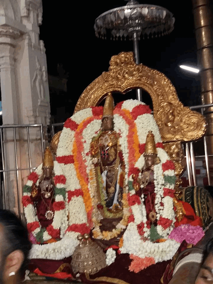 Kanchi-Sri-Devarajaswami14