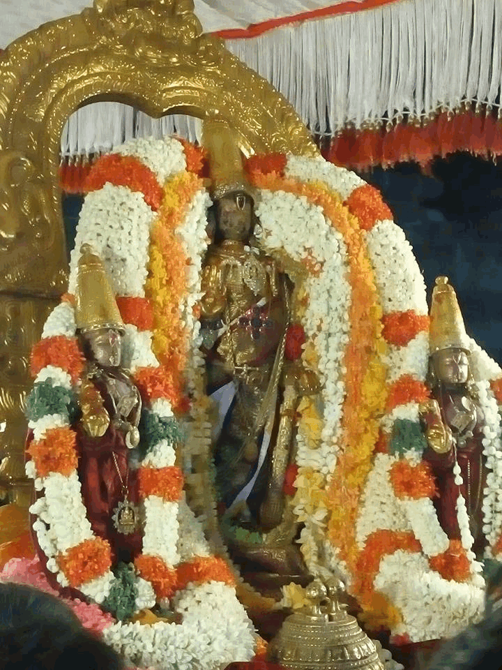 Kanchi-Sri-Devarajaswami15