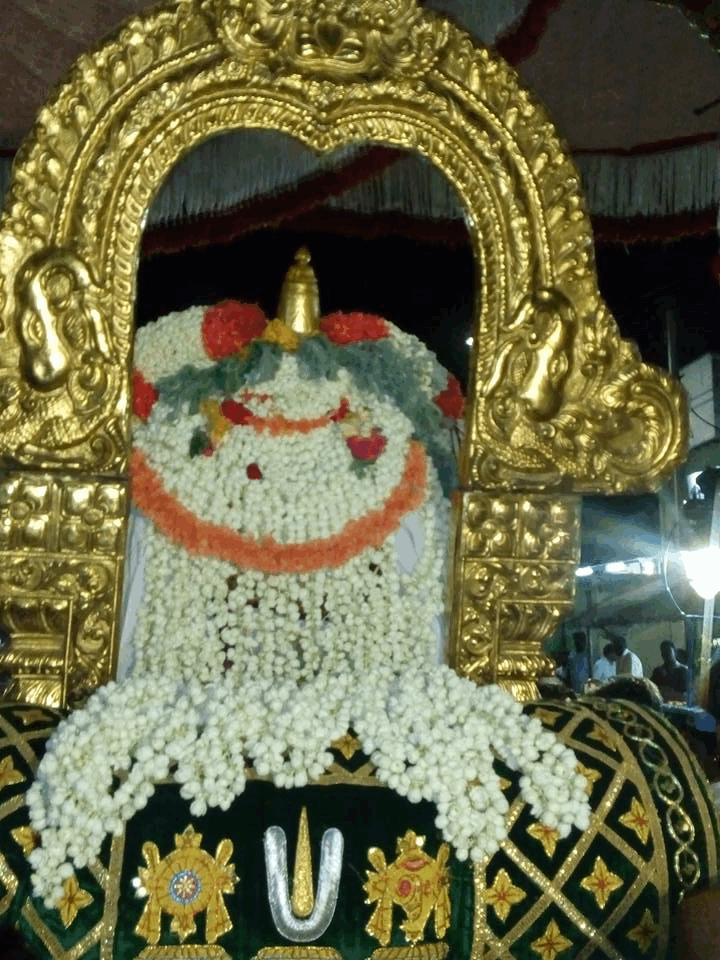Kanchi-Sri-Devarajaswami16