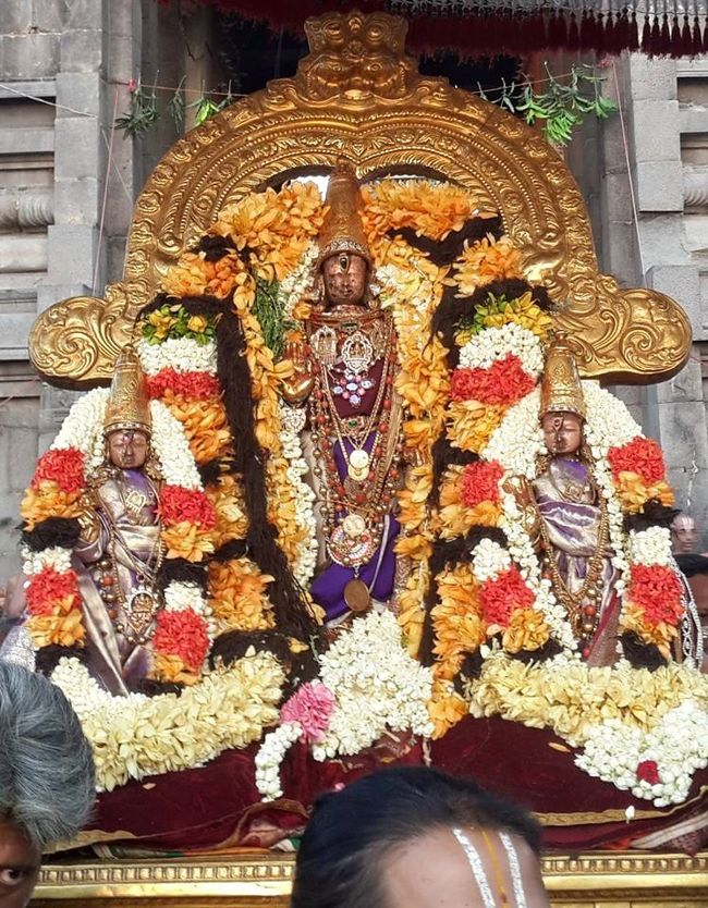Kanchi-Sri-Devarajaswami3