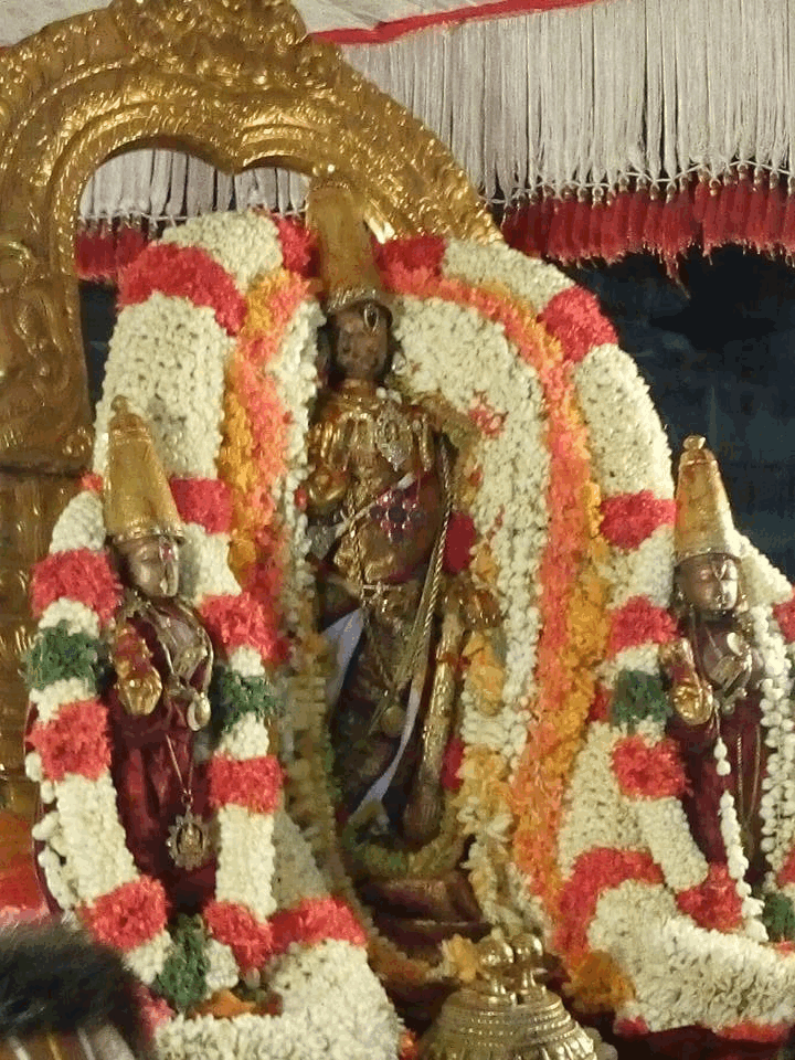Kanchi-Sri-Devarajaswami5