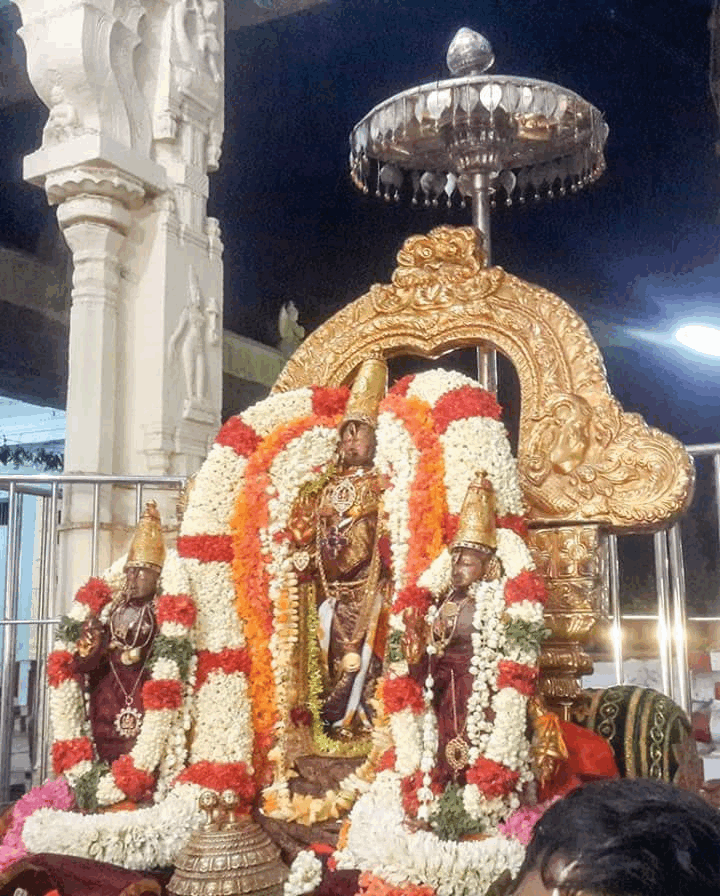 Kanchi-Sri-Devarajaswami8