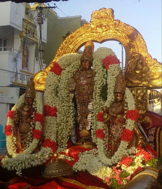 Kanchi-Sri-Devarajaswami9